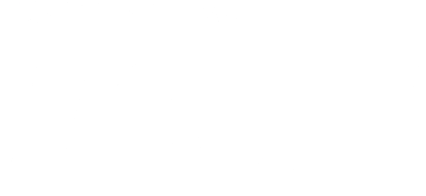 LOT Polish Airlines